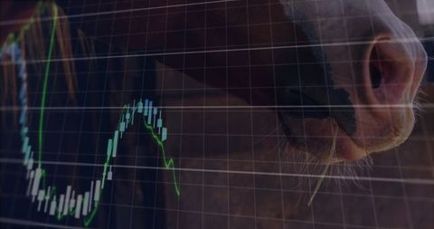 Horse with stock market chart overlay in financial concept