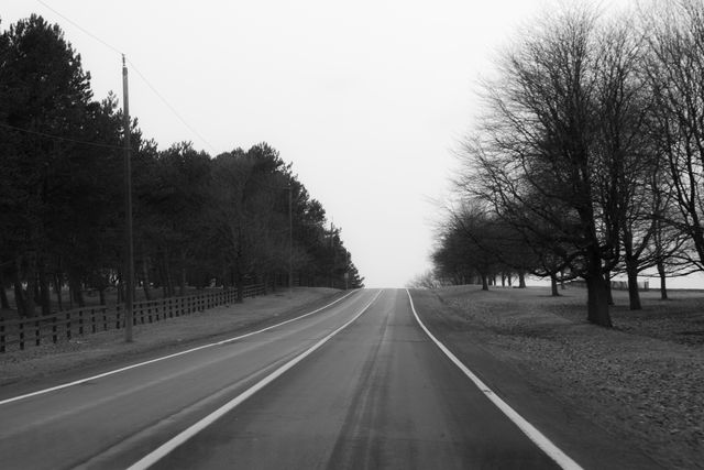 Black and white winter landscape featuring an open country road flanked by bare trees and fences. Ideal for themes focusing on serenity, travel, and natural beauty. Can be used in travel articles, blogs, and environmental awareness campaigns.
