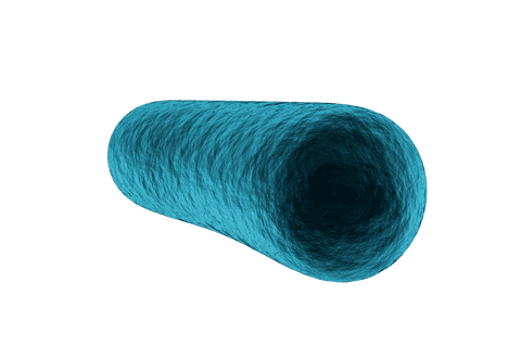 Transparent blue bacteria cellular structure illustration