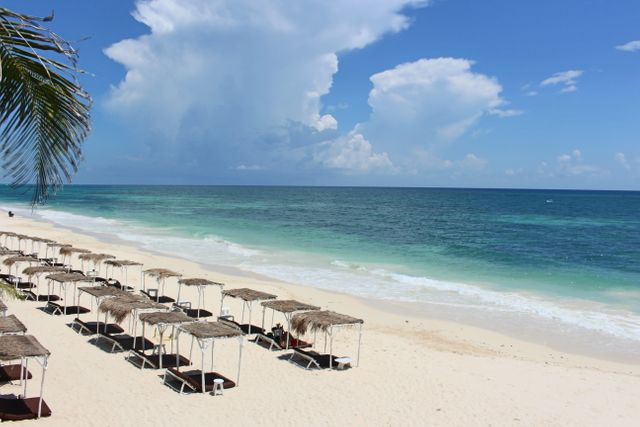 Tropical Beach with Palapas and Blue Ocean Horizon - Download Free Stock Photos Pikwizard.com