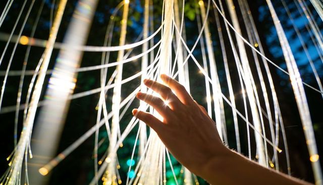 Human hand reaching glowing fiber-optic strands in nocturnal garden light display