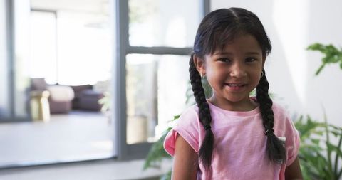 Smiling Biracial Girl with Braids Indoors