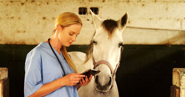 Veterinarian Examining Horse in Stable with Electronic Tablet - Download Free Stock Images Pikwizard.com