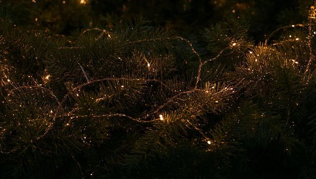 Pine Needles Glowing with Fairy Lights and Dew at Dusk, Moody Evergreen Bokeh