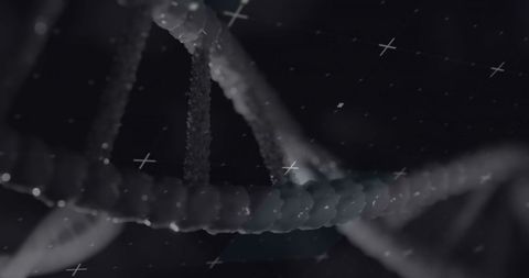 Abstract Digital DNA Strand with Geometric Elements