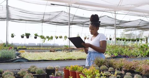 Measuring plant growth in modern sustainable greenhouse
