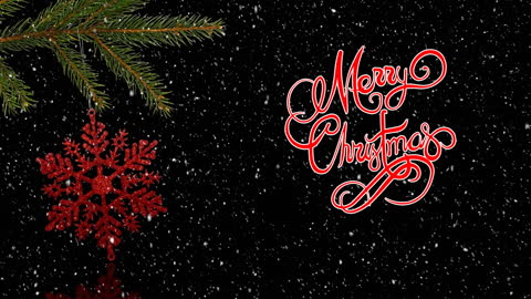 Festive Christmas Greetings with Snowflake and Fir Branch