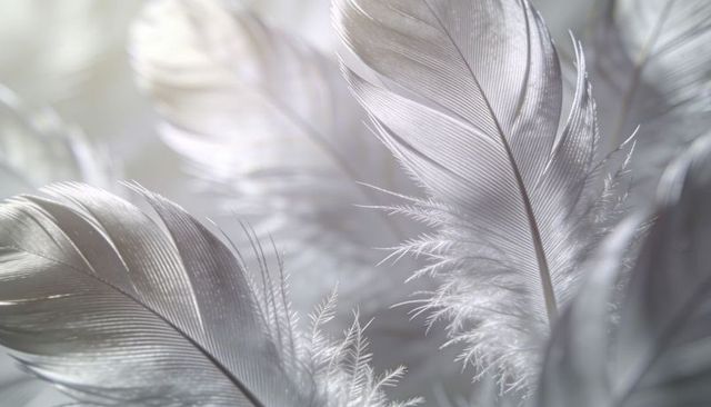 Soft white feathers closeup capturing delicate barbs and downy texture