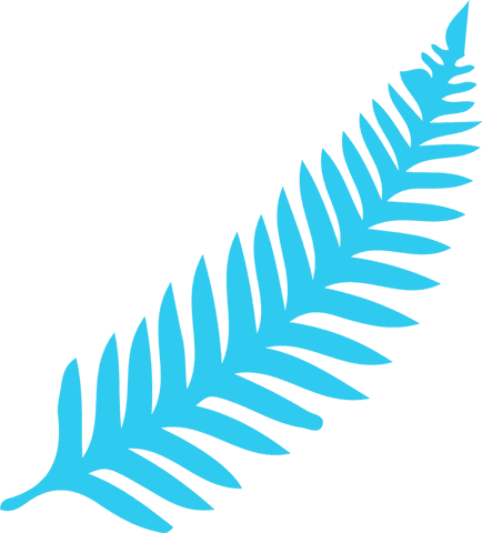 Stylized turquoise fern on transparent background