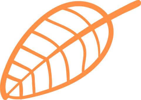 Orange Leaf Outline on Transparent Background in Flat Modern Style