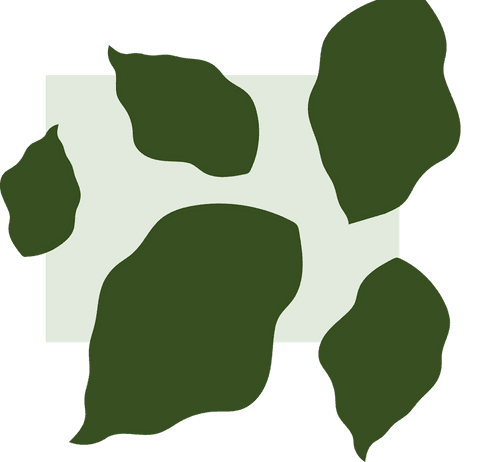abstract leaf shapes layering pale green rectangle transparent design - Download Free Stock Videos Pikwizard.com