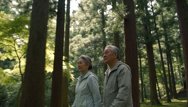Senior asian couple walking through mossy forest trail under towering cedar canopy