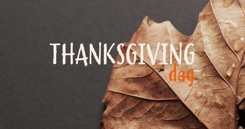 Thanksgiving Day Text on Dry Autumn Leaf Background - Download Free Stock Images Pikwizard.com