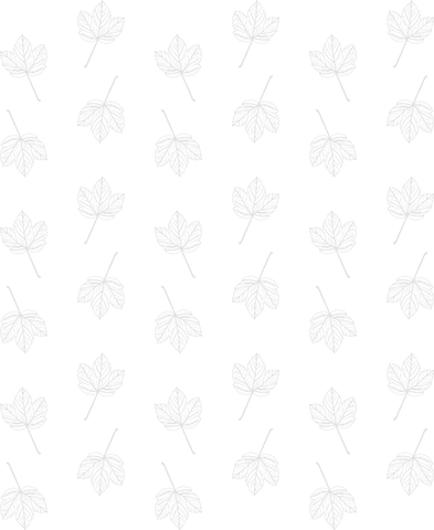 transparent repeated white leaves pattern nature vector design - Download Free Stock Videos Pikwizard.com