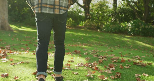 Person Walking Through Autumn Park with Fallen Leaves - Download Free Stock Images Pikwizard.com