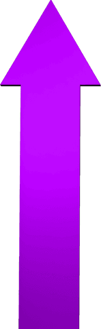 purple arrow illustration on transparent background - Download Free Stock Videos Pikwizard.com