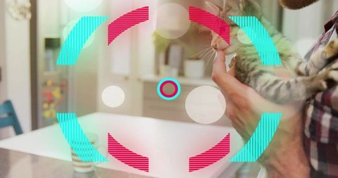 Cozy moment holding kitten in modern kitchen