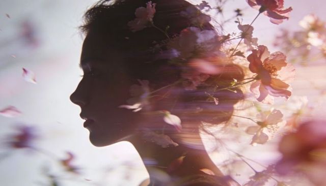 Dreamy floral double exposure female silhouette with cherry blossoms and lens flare