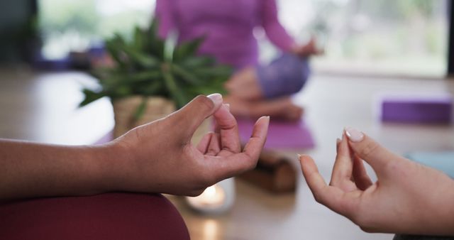 Women Practicing Yoga Meditation in Peaceful Room - Download Free Stock Images Pikwizard.com