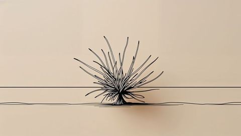 Minimalist line art of spiky tumbleweed on beige background
