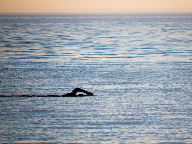 Solitary Swimmer in Open Ocean at Sunset - Download Free Stock Photos Pikwizard.com