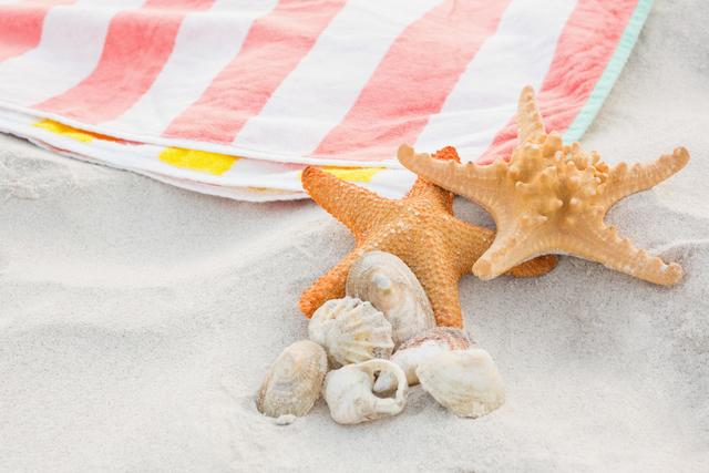 Starfish and seashells resting on sandy beach next to a colorful striped blanket. Ideal for summer vacation themes, beach decor, coastal living, and marine life concepts. Perfect for travel brochures, holiday advertisements, and nature-related content.