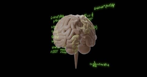 Rotating Brain with Mathematical Equations on Black Background - Download Free Stock Images Pikwizard.com