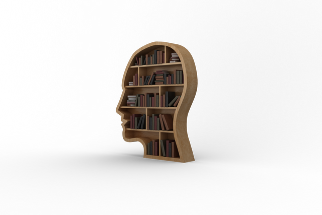 Books Shelves Shaping Human Head on Transparent Background - Download Free Stock Videos Pikwizard.com