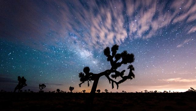 Breathtaking Joshua Tree silhouetted against a starlit night sky with the Milky Way and clouds visible. Perfect for nature lovers, astronomy enthusiasts, and desert landscape campaigns. Suitable for posters, travel brochures, and digital backgrounds emphasizing natural beauty and tranquility.