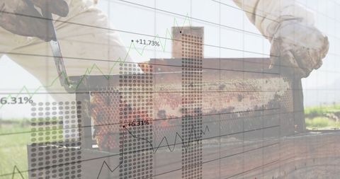 Beekeeper Lifting Honeycomb Frame with Financial Growth Overlays