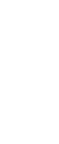 Silhouette of Woman's Legs in Sports Shoes on Transparent Footwear