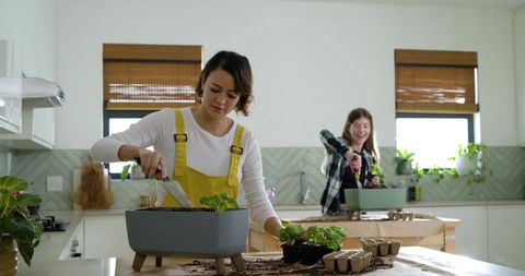 African american woman and friend planting seedlings in modern kitchen with raised planter