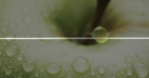 Green apple macro glistening with dew drops and single suspended water bead