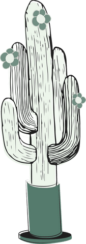 Vintage cactus illustration on transparent background
