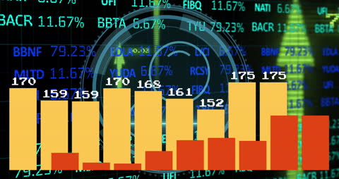 Financial Data Analysis with Bar Graph and Digital Interface