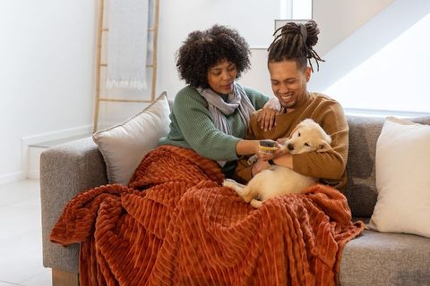 Couple cuddling and brushing puppy on sofa under skylight with cozy rust blanket