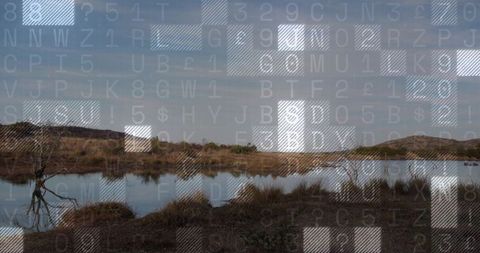 Marsh pond reflecting sky with solitary bare tree and digital data overlay nature-tech concept