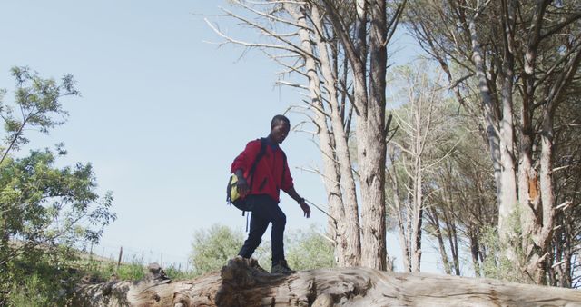 Adventurous Hiker Examining Forest Trail - Download Free Stock Images Pikwizard.com