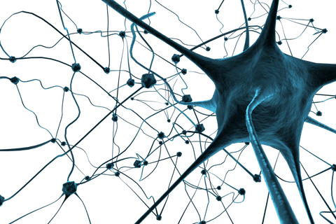 transparent neural network connections concept with plexus - Download Free Stock Videos Pikwizard.com