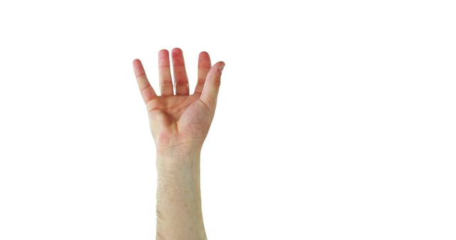 Raised Hand Reaching Up Isolated on White Background - Download Free Stock Images Pikwizard.com