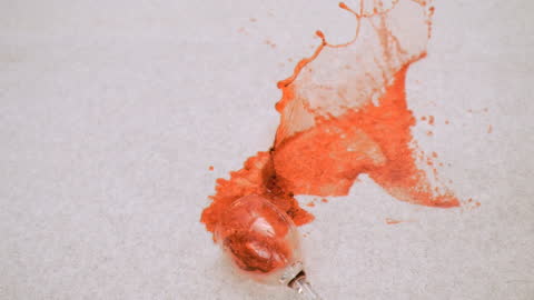 Red Wine Accident Spill on Carpet