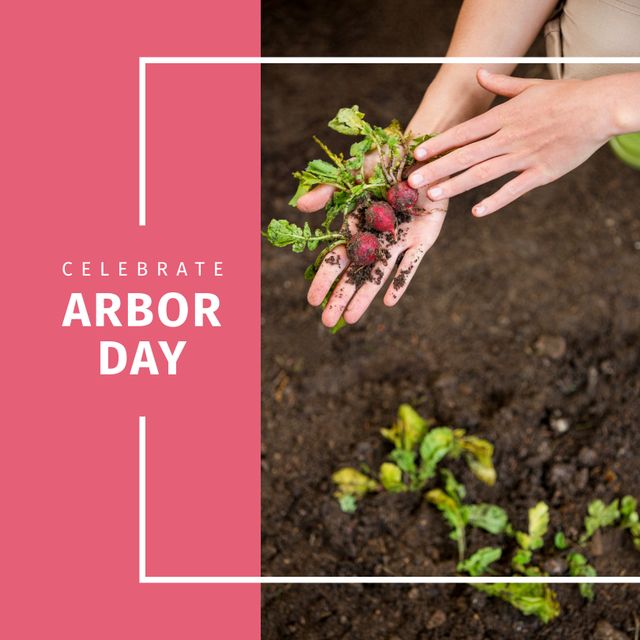 Composition of arbor day text and caucasian woman holding radish. Arbor day, gardening and nature concept digitally generated image.