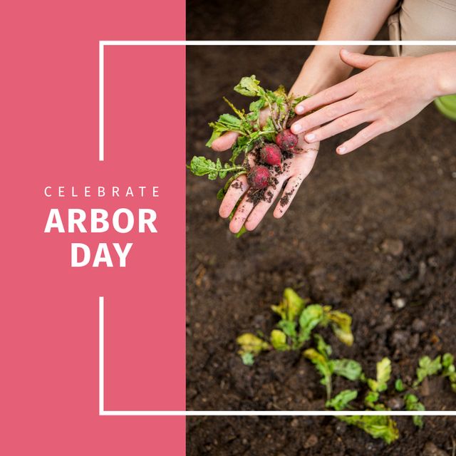 Celebrate Arbor Day With Freshly Harvested Radishes - Download Free Stock Templates Pikwizard.com