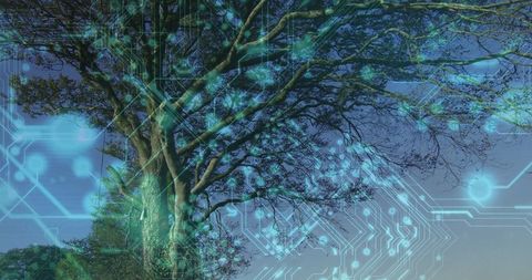 Futuristic Tree with Integrated Digital Circuit Overlays