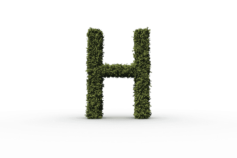 green h letter made of plants on transparent background - Download Free Stock Videos Pikwizard.com