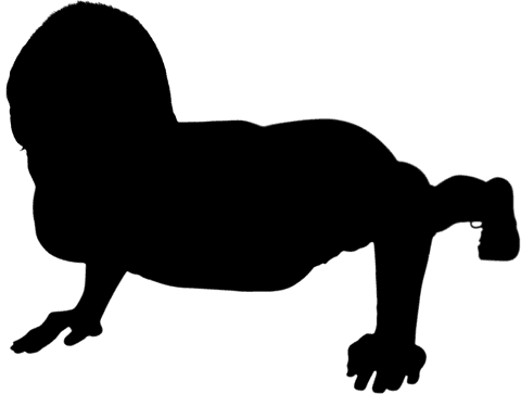 silhouette of man doing push ups on transparent background - Download Free Stock Videos Pikwizard.com