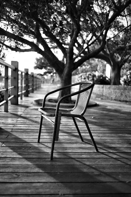 Empty chair on a wooden deck with a tree providing shade. Black and white image evokes feelings of solitude and tranquility. Ideal for themes related to relaxation, nature, and introspection. Suitable for blogs, backgrounds, motivational posts, or advertisements promoting outdoor furniture.