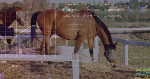 Technology and nature: horse grazing with data integration