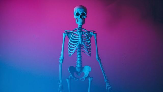 Glowing Skeleton Model on Colorful Gradient with Fog
