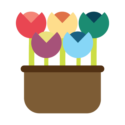 colorful abstract tulips in brown pot with transparent background - Download Free Stock Videos Pikwizard.com